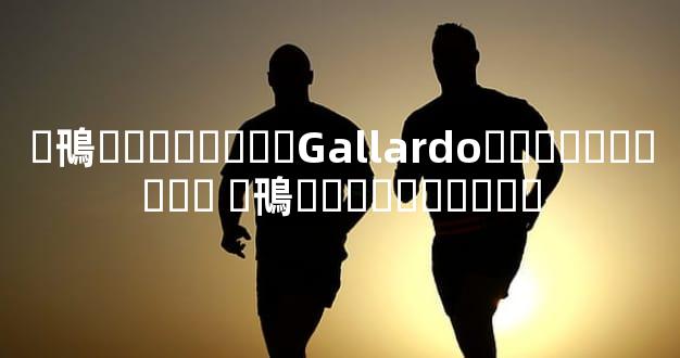 �鳵��������Gallardo��������۸� �鳵��������۸�